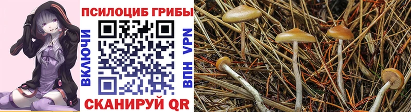 Галлюциногенные грибы MAGIC MUSHROOMS  Мензелинск 